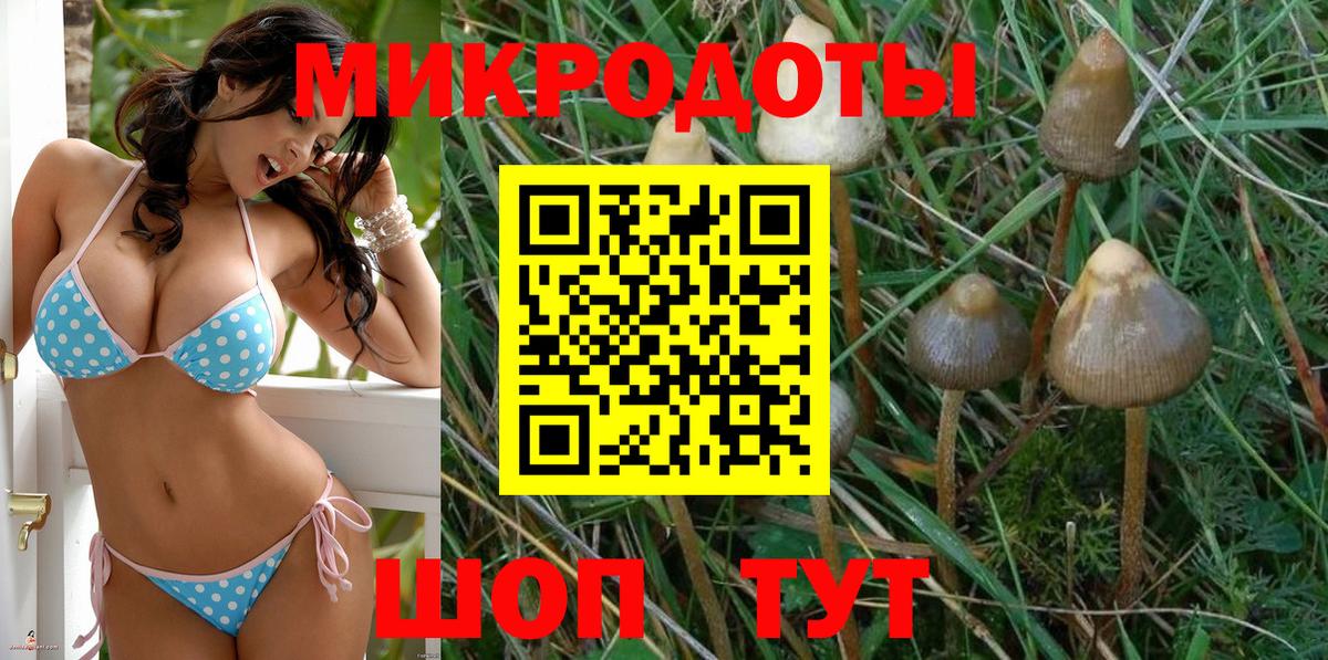 Псилоцибиновые грибы MAGIC MUSHROOMS Йошкар-Ола