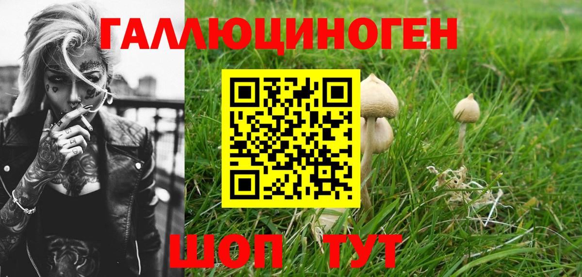 Йошкар-Ола  Псилоцибиновые грибы мухоморы  Вход с VPN 